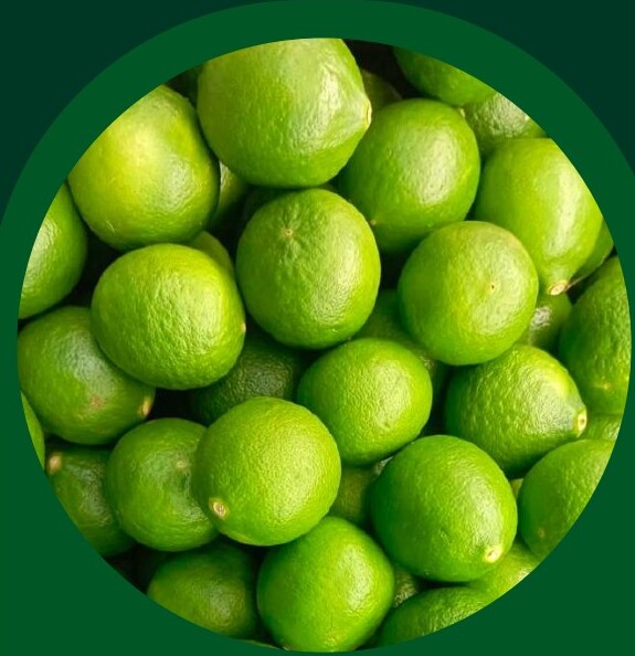 Fresh Lime — VELTA wholesale foodservice product