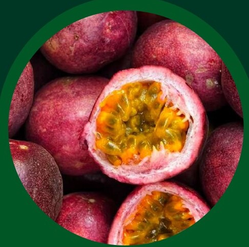 Lulo Pulp — VELTA wholesale foodservice product