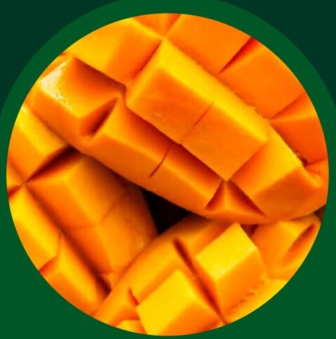 Mango Pulp — VELTA wholesale foodservice product