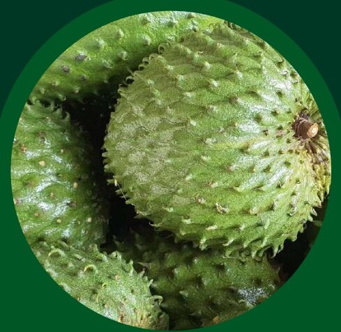 Pineapple Pulp — VELTA wholesale foodservice product
